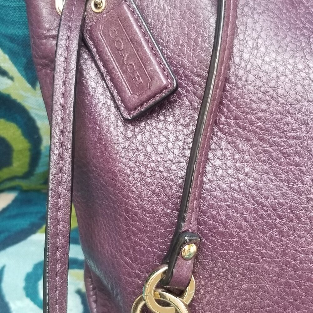 Coach Crossbody Tote